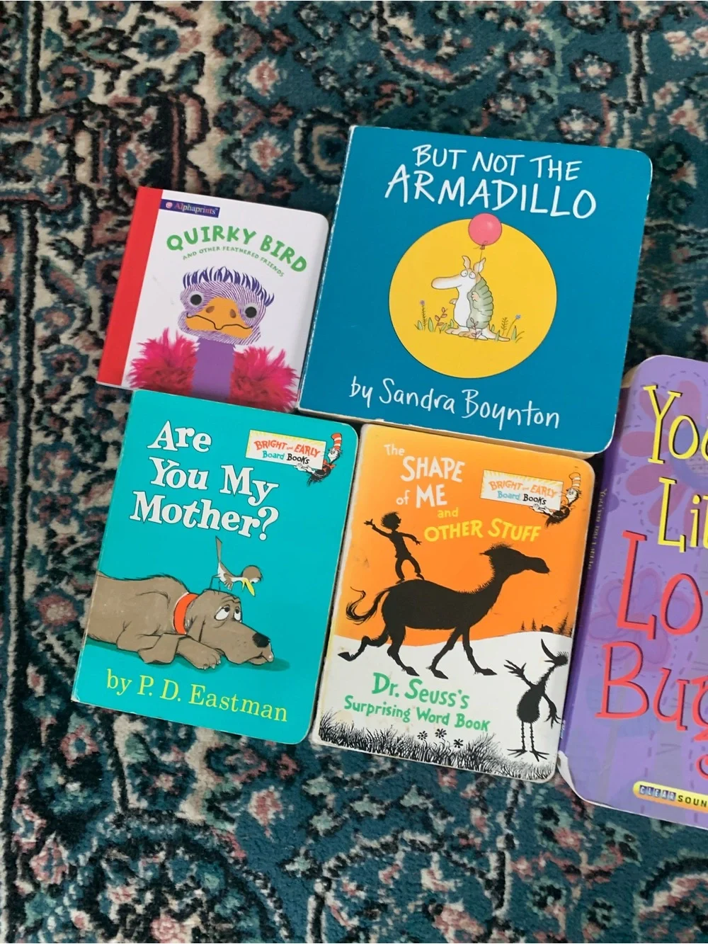 Dr. Seuss, Sandra Boynton, and More Children's Board Books Bundle  lot of 6